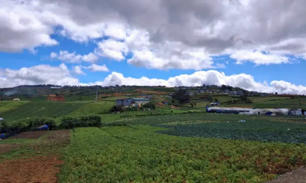 ‘Kalbaryo ng magsasaka.’ Rising fuel, production costs burying farmers in debt