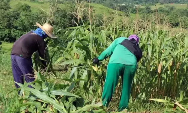 Farmers group: Fuel crisis deepens drought impact in Cagayan Valley