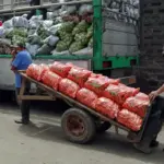 Cordillera farmers hit by carrot price plunge amid imports