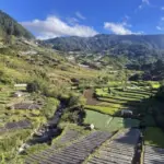 Don’t just buy our harvest, buy them fair, Benguet farmers ask