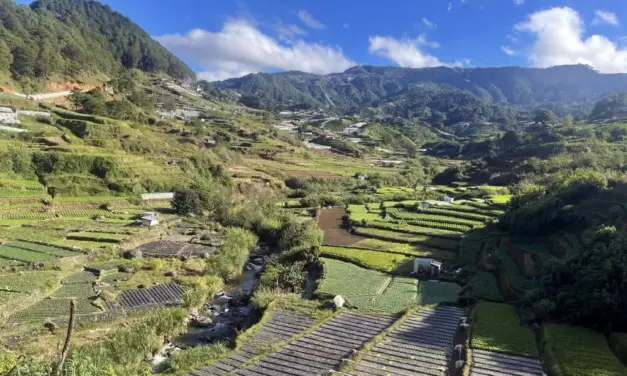 Don’t just buy our harvest, buy them fair, Benguet farmers ask