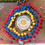 Solar electricity campaigners take fight to big power corporations