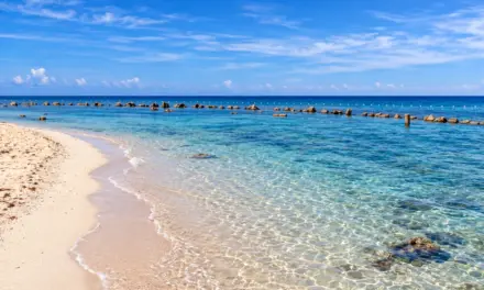 EXPLAINER | What reports reveal about the state of Philippine seas