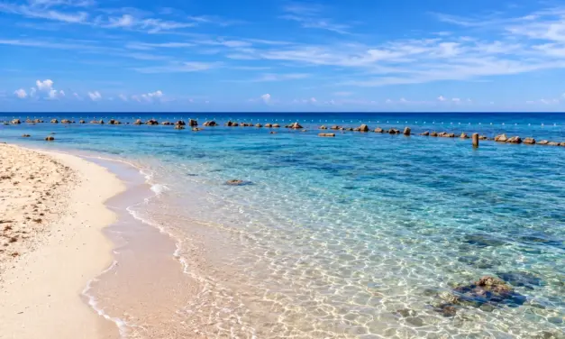 EXPLAINER | What reports reveal about the state of Philippine seas